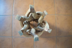 Esente-Vegetale-aug-2023-24