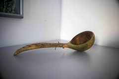 Esente-Vegetale-aug-2023-48