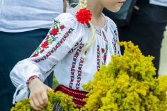 Ograda-cu-ii-si-sanziene-24iunie2023-30