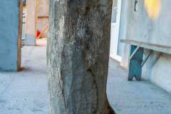 Reteta-JUFLEI-dec2023-1